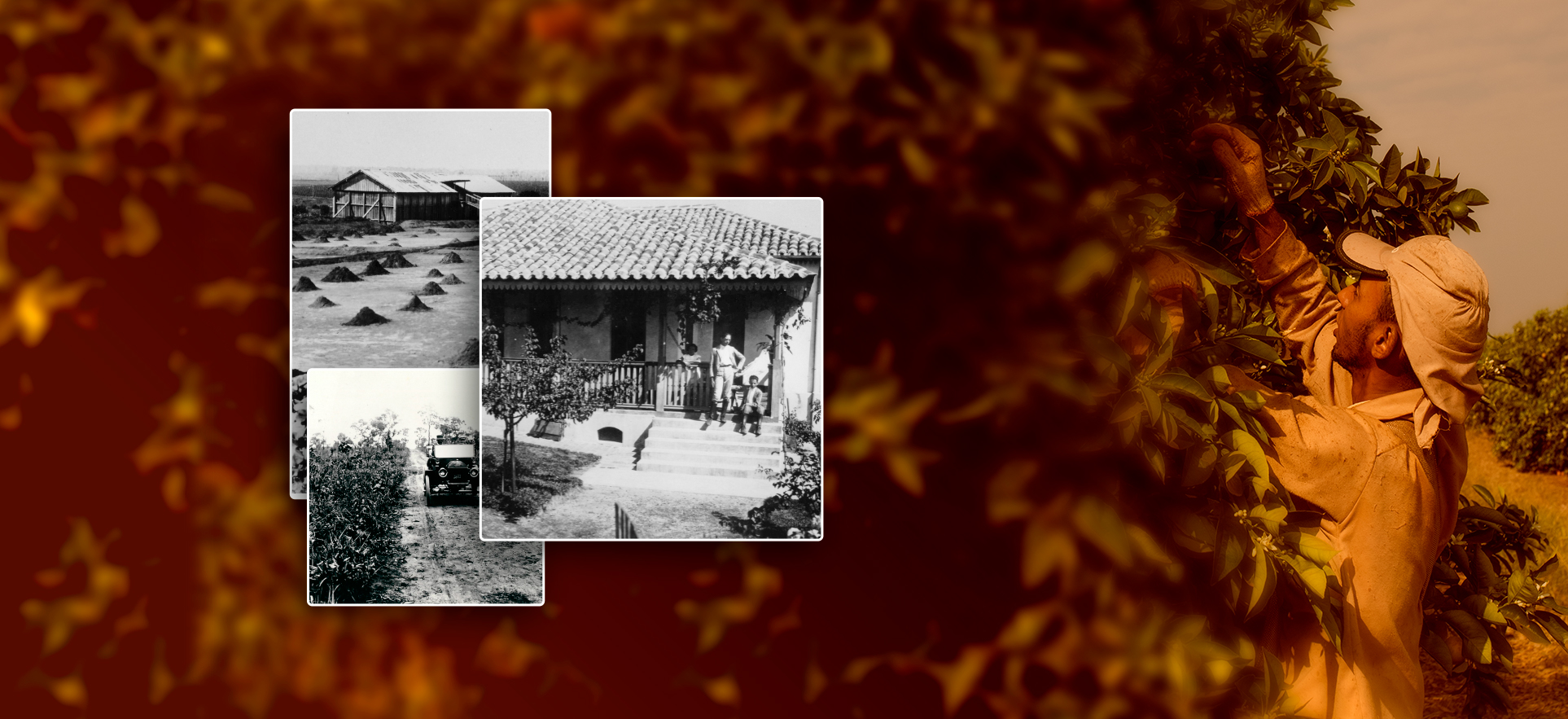 Banner – Home
